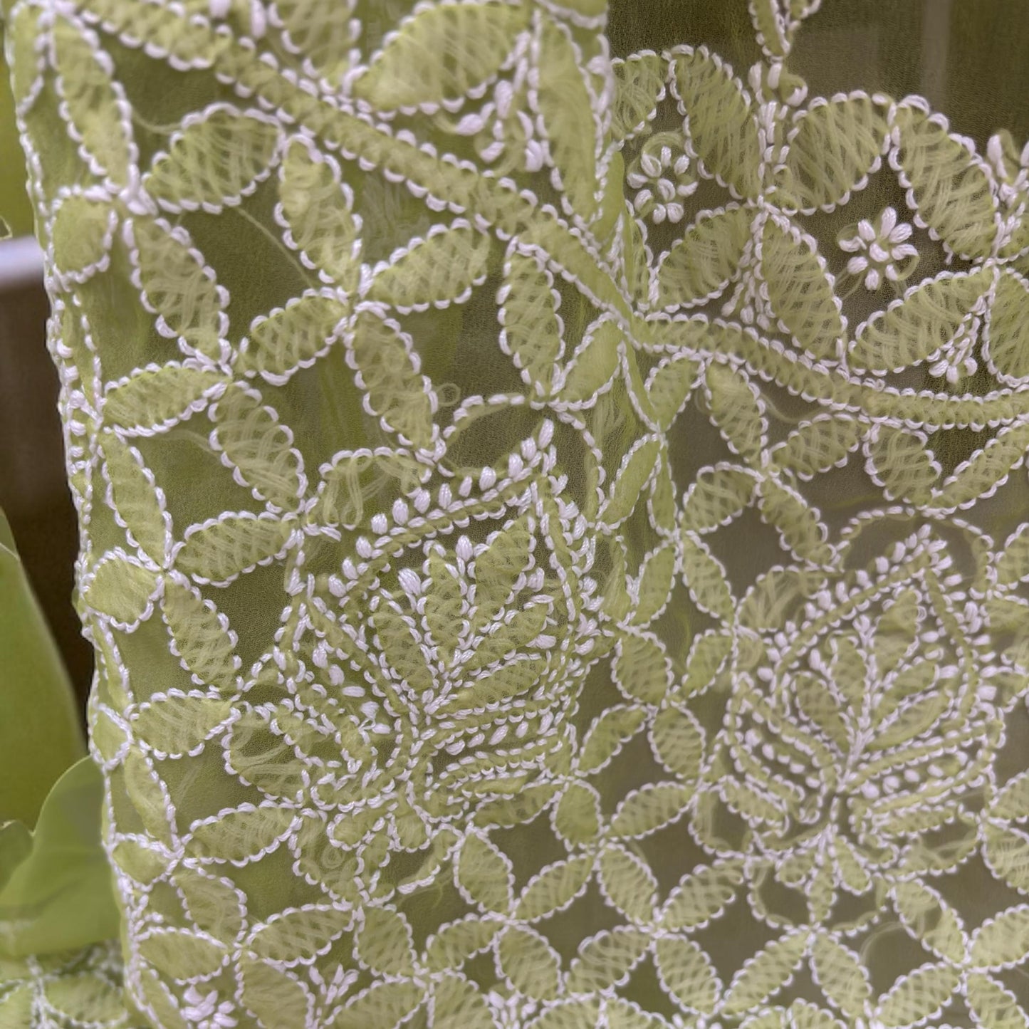 Tepchi Chikankari Saree
