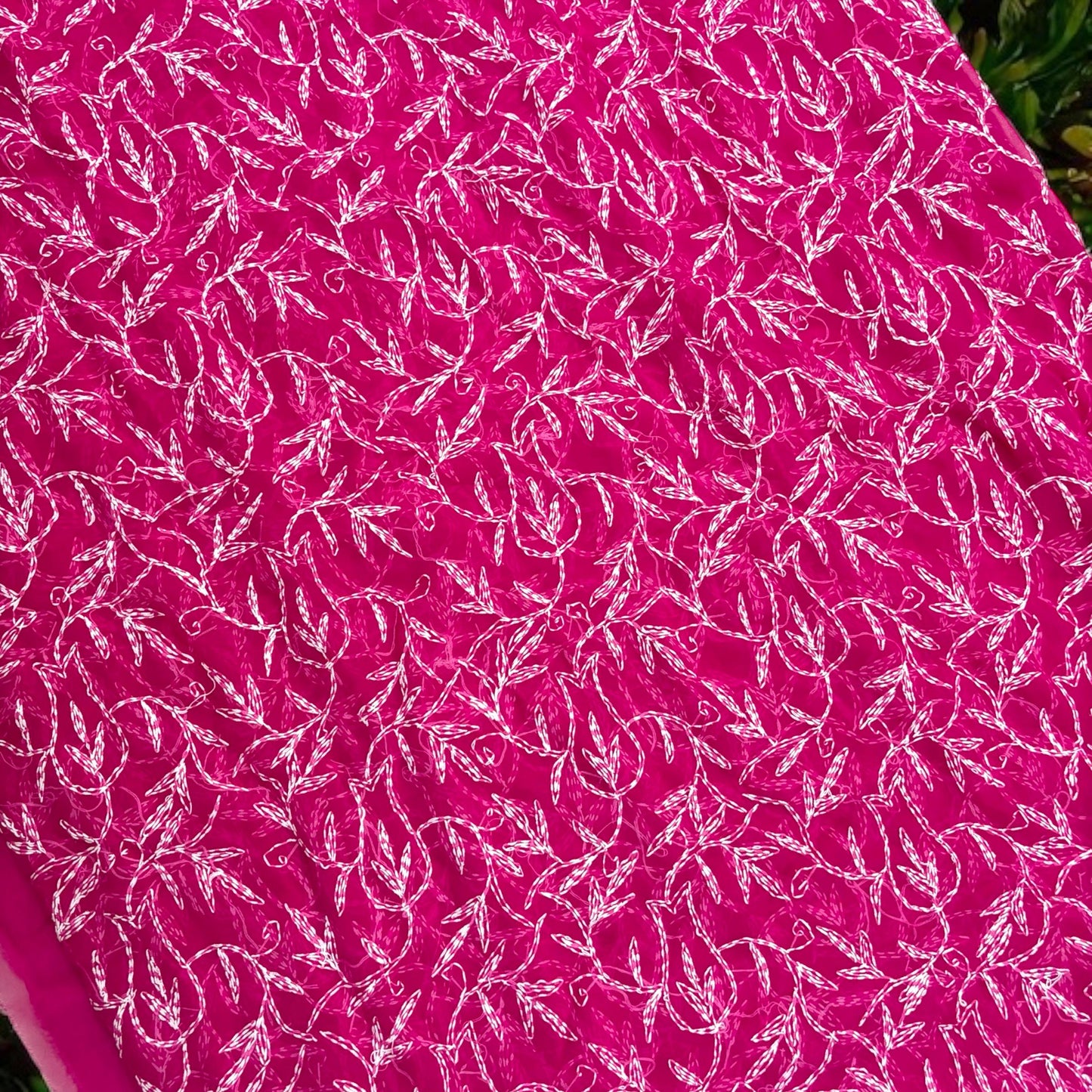 Chikankari Saree